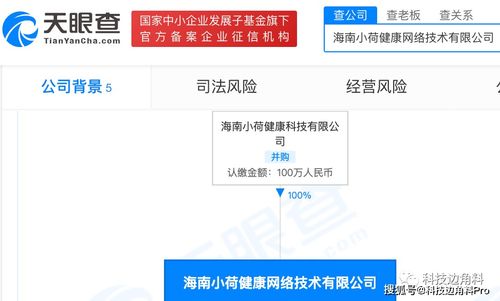 字節(jié)跳動拓展健康版圖 海南小荷健康網(wǎng)絡(luò)公司成立，新增食品與互聯(lián)網(wǎng)銷售業(yè)務(wù)